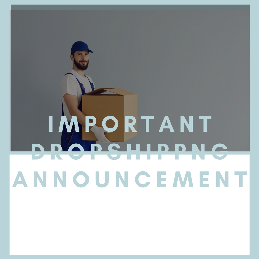 Dropshipping guide effective from 22.01.22