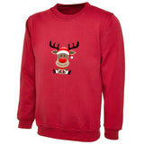 Kids Unisex Christmas Reindeer Sweatshirt – Festive Novelty Jumper